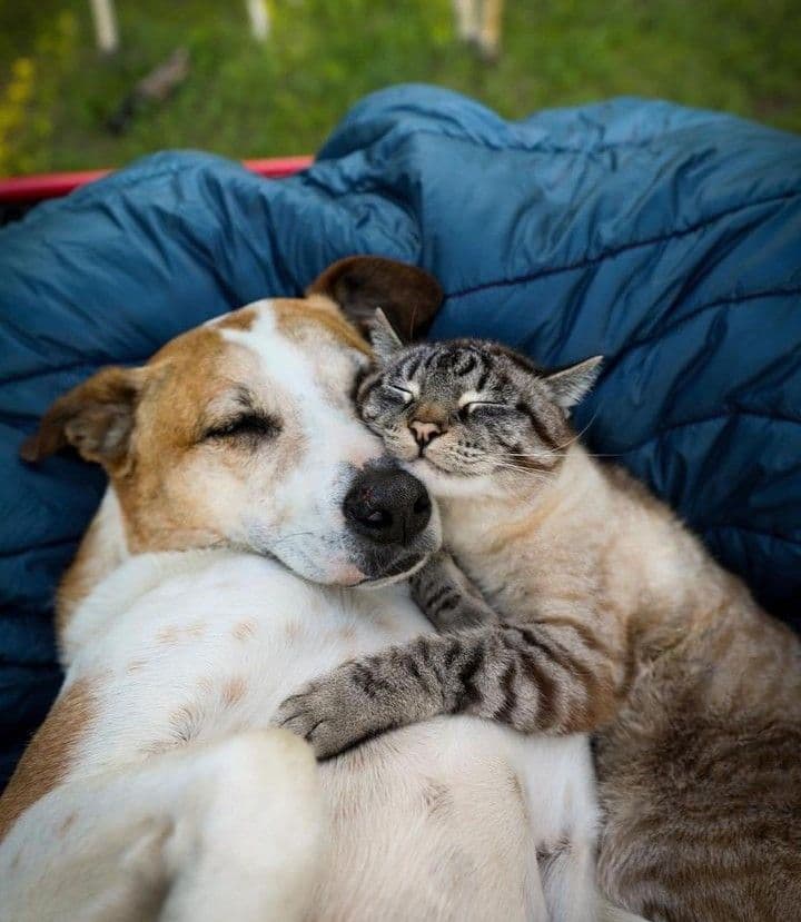 Together